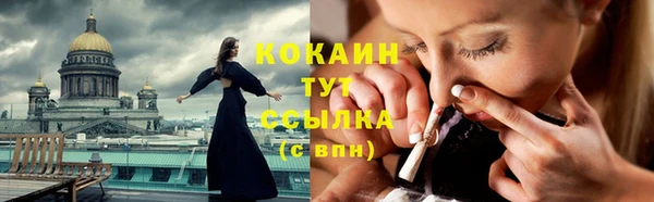 каннабис Новозыбков