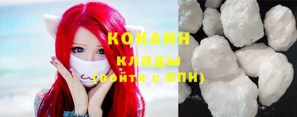 стаф Новодвинск