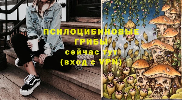 стаф Новодвинск
