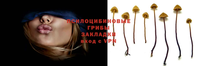 mdma Новокубанск