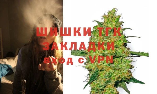 стаф Новодвинск