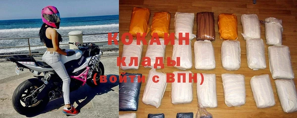 стаф Новодвинск