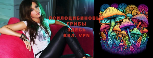 каннабис Новозыбков