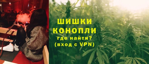 стаф Новодвинск