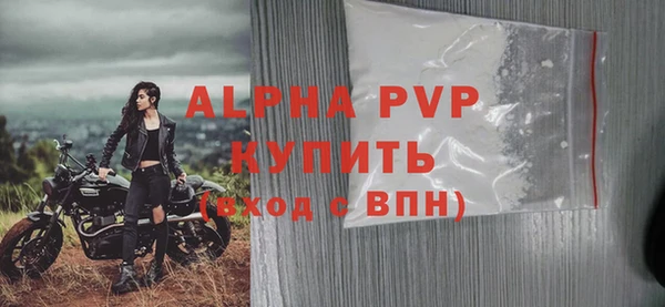 стаф Новодвинск